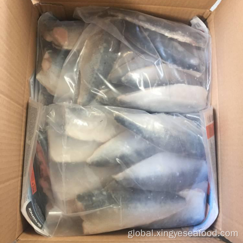 Mackerel Fish IQF Fozen Mackerel Fish Fillets Supplier